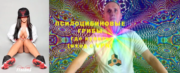 стаф Белокуриха