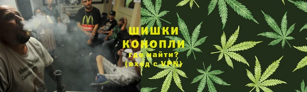 стаф Белокуриха