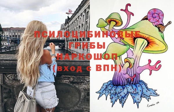 стаф Белокуриха
