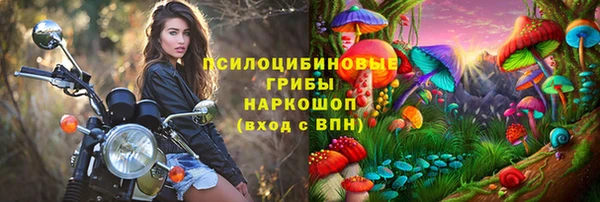 стаф Белокуриха