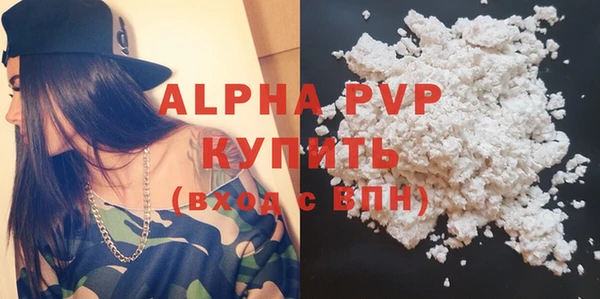 стаф Белокуриха