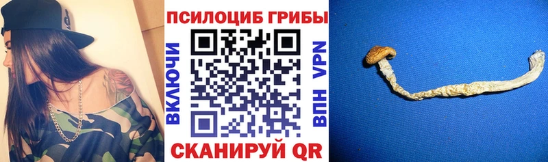 Псилоцибиновые грибы Cubensis  где найти наркотики  Воркута 